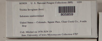 Image Associated With the Occurence